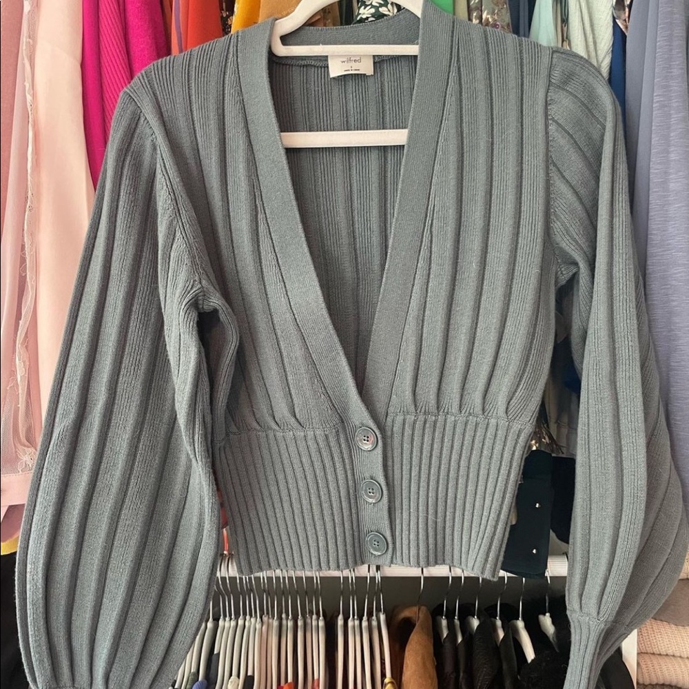 Aritzia Sweater